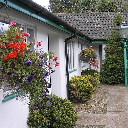 The Willow House Watton Luaran gambar