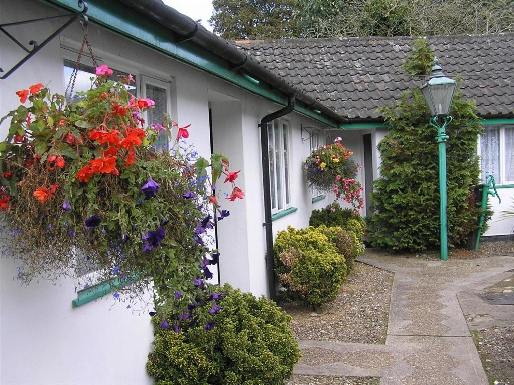 The Willow House Watton Luaran gambar